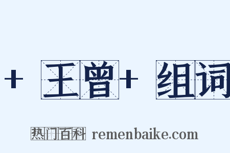 +王曾+组词是什么意思的图片